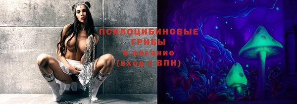 бутират Богородицк