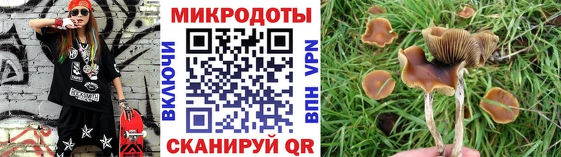 где найти наркотики  Духовщина  Псилоцибиновые грибы GOLDEN TEACHER 